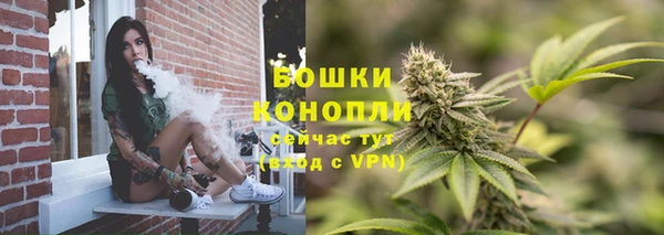 Альфа ПВП Горно-Алтайск