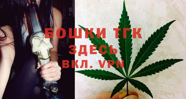 дурь Горняк