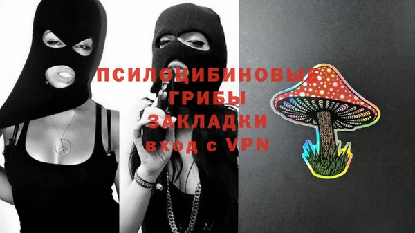 Альфа ПВП Горно-Алтайск