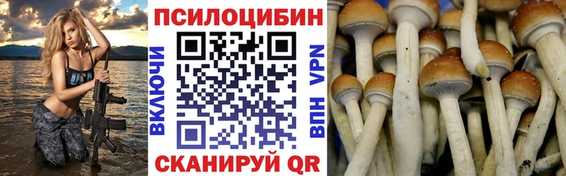 Купить где  Волгоград  Псилоцибиновые грибы MAGIC MUSHROOMS 